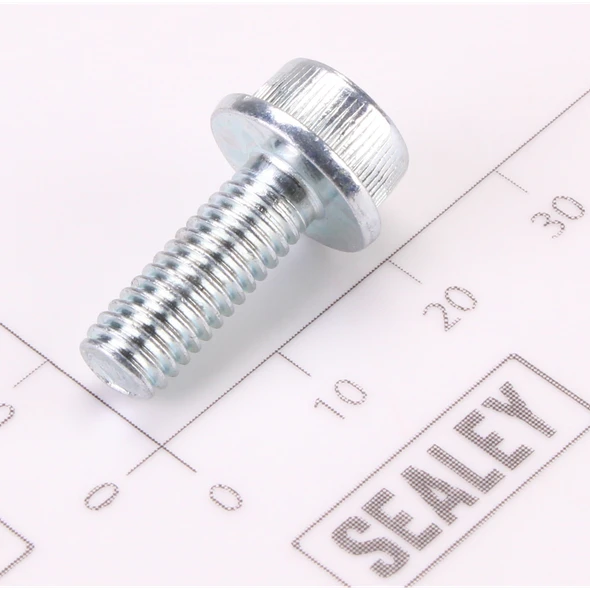 Sealey Flange Screw