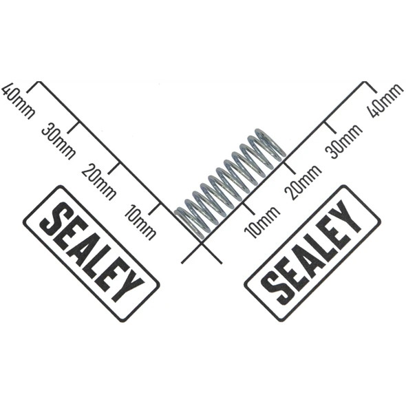 Sealey Spring