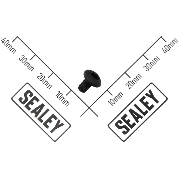 Sealey Screw for Guide Plate