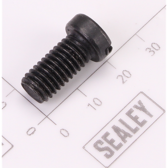 Sealey Jaw face screw