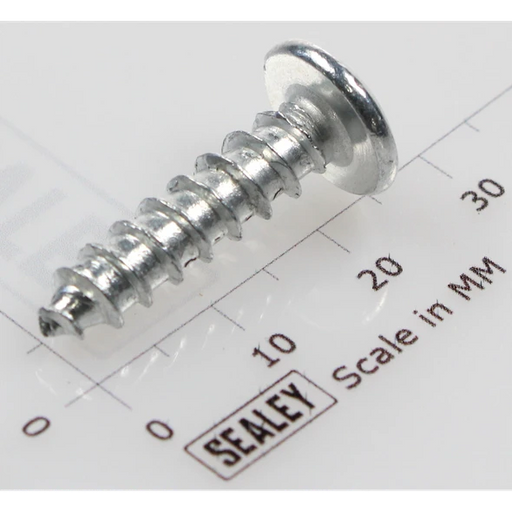 Sealey Rd head s/t screw m6x25