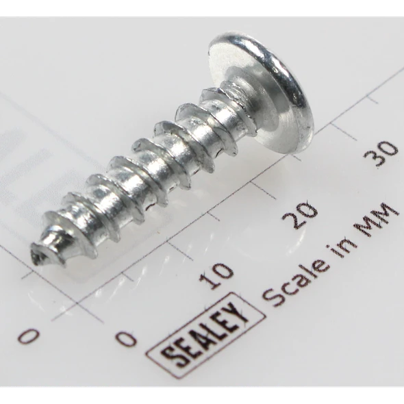 Sealey Rd head s/t screw m6x25