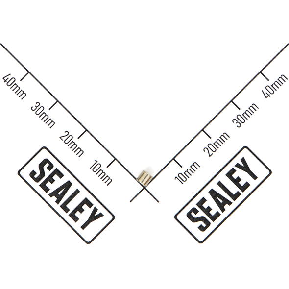 Sealey Magnet
