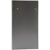 Sealey Door (Left) DG10123