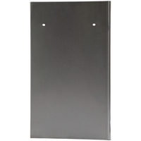 Sealey Door (Right) DG10140