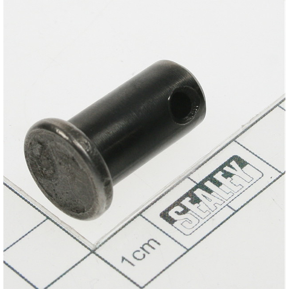 Sealey Pin
