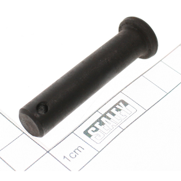 Sealey Pin