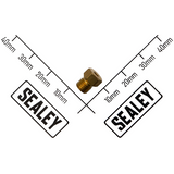 Sealey Injector Φ1.29 DH10646