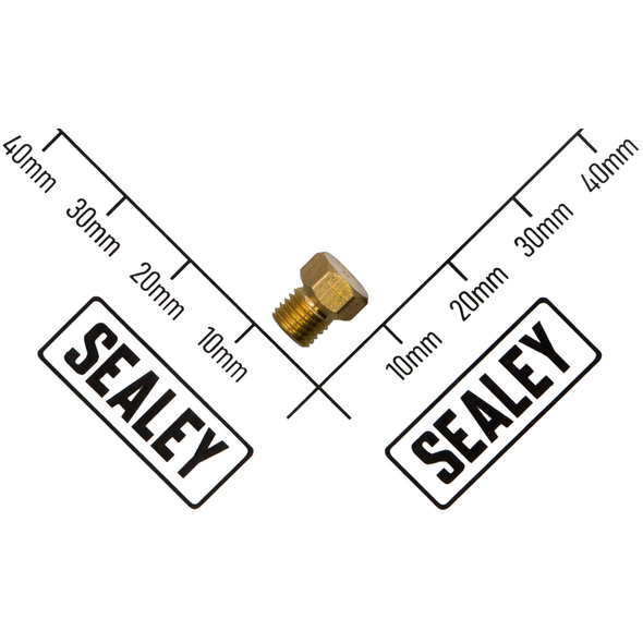 Sealey Injector Φ0.65