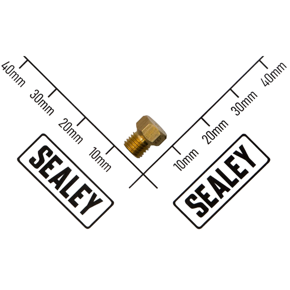 Sealey Injector Φ0.87