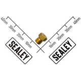 Sealey Injector Φ1.31 DH10657