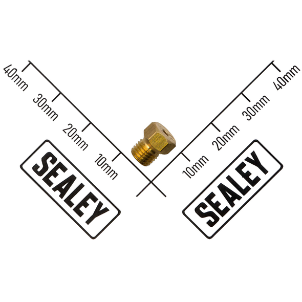Sealey Injector Φ1.31