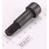 Sealey Anti-Vibraction Screw DHB1300.41