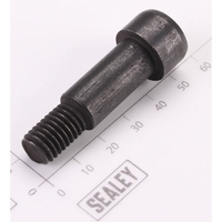 Sealey Anti-Vibraction Screw DHB1300.41