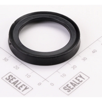 Sealey Piston Seal DHB1600.51