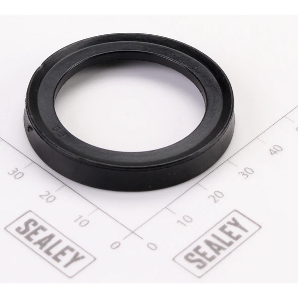 Sealey Piston Seal