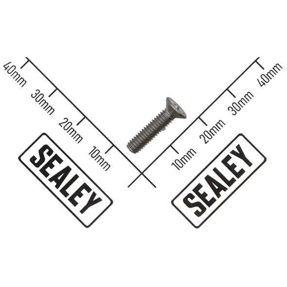 Sealey Screw, Handle Bracket