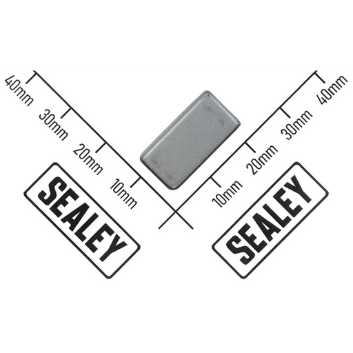Sealey Magnet