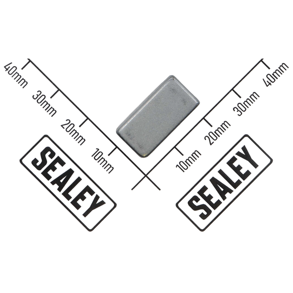Sealey Magnet