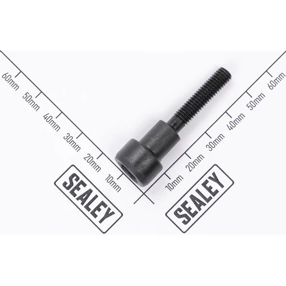 Sealey Mandrel M6