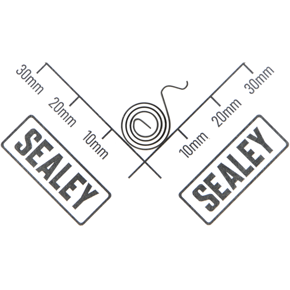 Sealey Spring