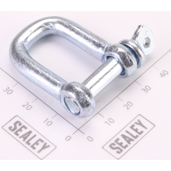 Sealey Shackle
