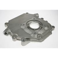 Sealey Crankcase cover EWP050.CC12