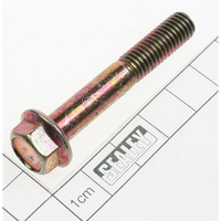 Sealey Bolt m8x60 EWP050.CH10