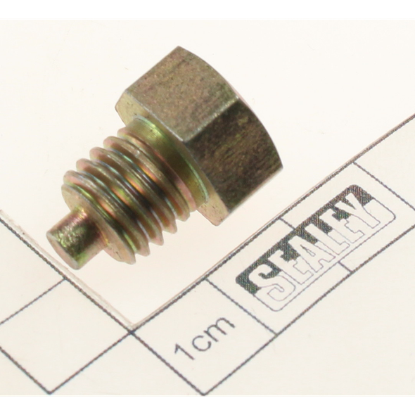 Sealey Screw (m12x22)