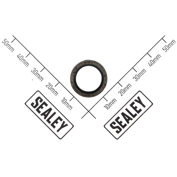 Sealey Gasket (m12)