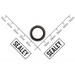 Sealey Gasket (m12)
