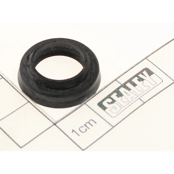 Sealey Wiper seal (21x6)