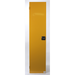 Sealey Right door (c/w lock & key)