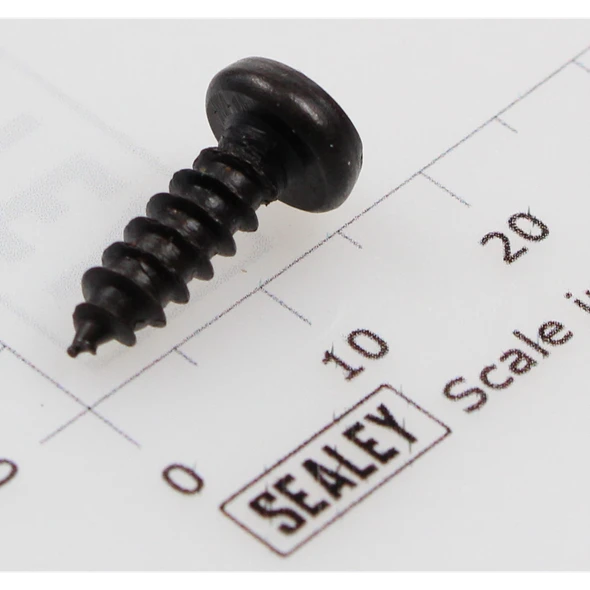 Sealey Rd head s/t screw m4.2 x 13 black (lsa)