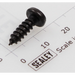 Sealey Rd head s/t screw m4.2 x 13 black (lsa)