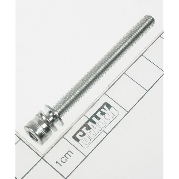 Sealey Screw