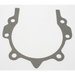 Sealey Gasket