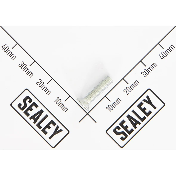 Sealey Tapping screw