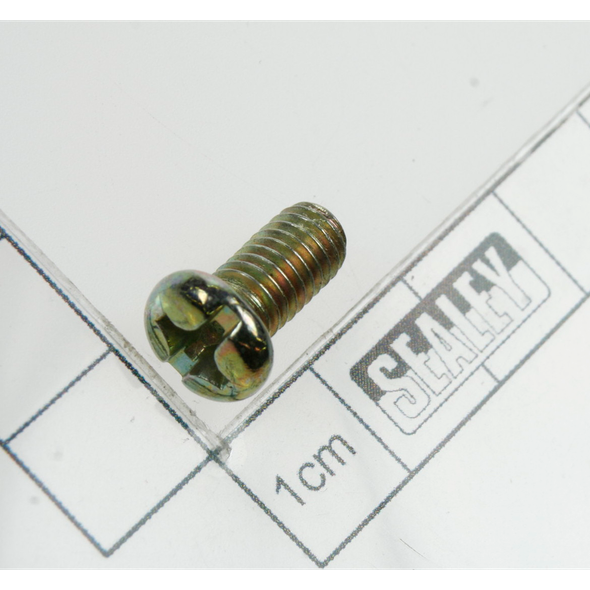 Sealey Screw (m6*12)