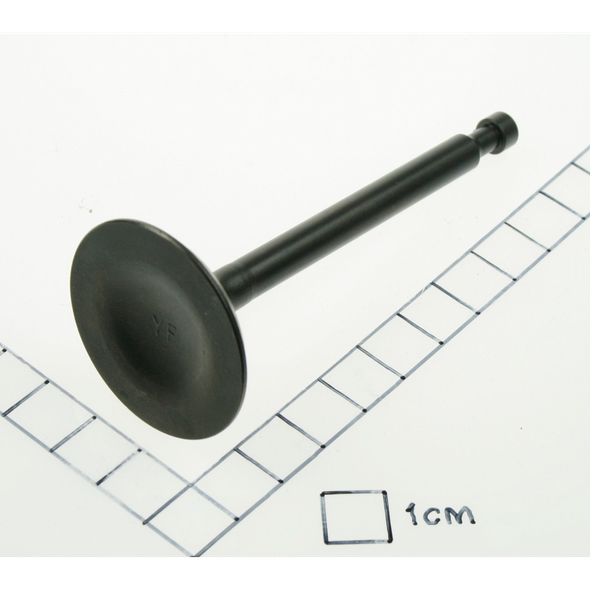 Sealey Exhaust valve (so)