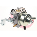 Sealey Carburetor