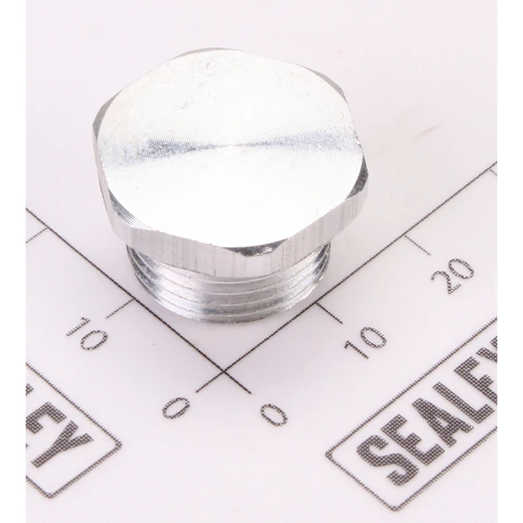 Sealey End Plug