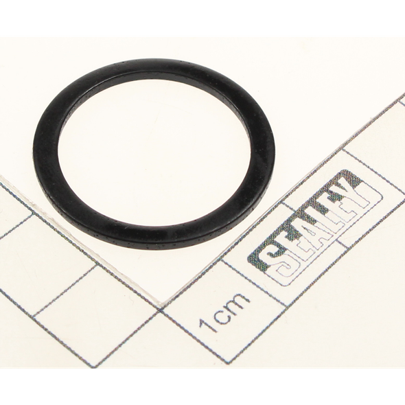 Sealey Gasket