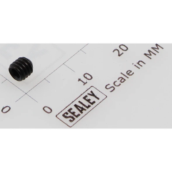 Sealey Grub screw m4x4 (single)