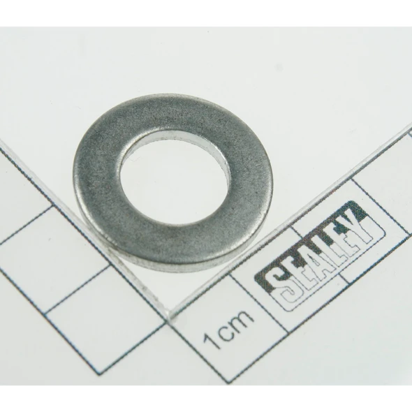 Sealey Gasket (dia.12)
