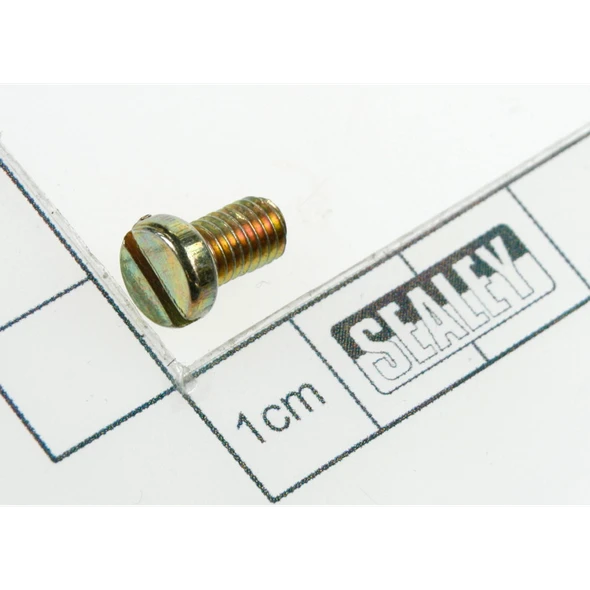 Sealey Screw (m5*8)