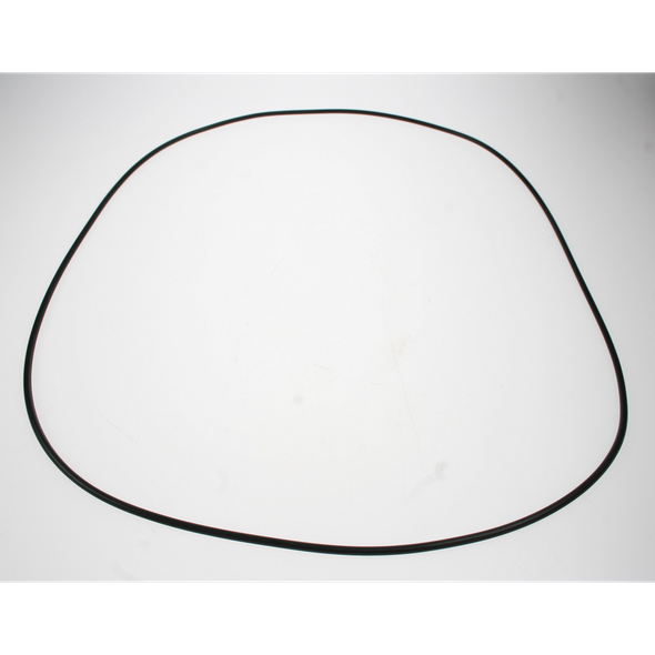 Sealey O-ring (300*3.1)