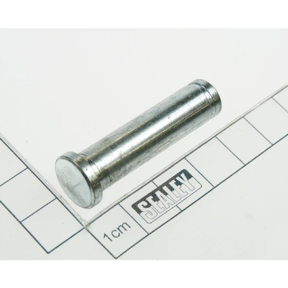 Sealey Pin