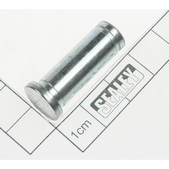 Sealey Pin
