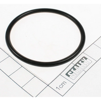 Sealey O-ring
